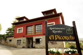 Apartamentos El Picoretu